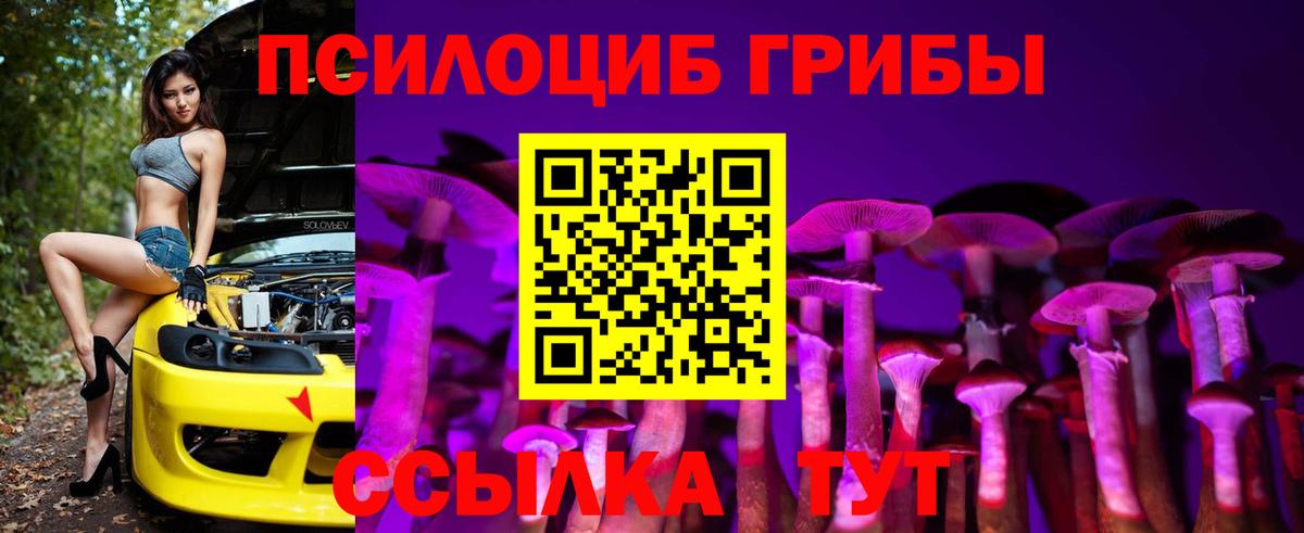 Псилоцибиновые грибы прущие грибы  даркнет сайт  Галлюциногенные грибы мицелий  Петрозаводск  Вход с VPN 